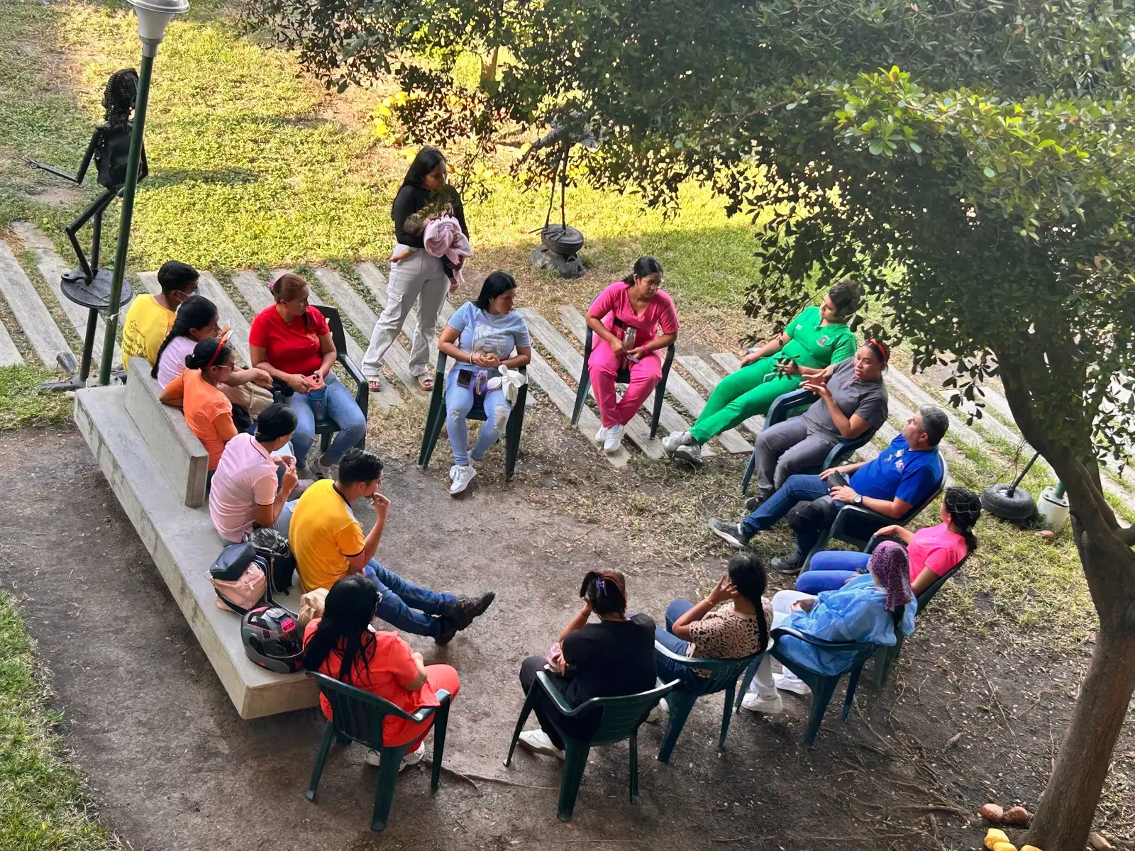 reunion bajo arbol cics
